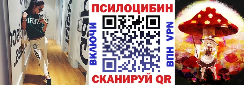 Галлюциногенные грибы Cubensis  где найти наркотики  гидра онион  Петровск 