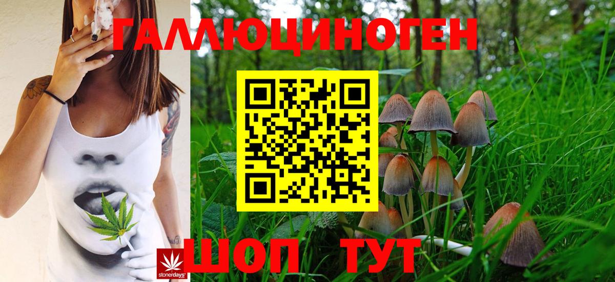 Псилоцибиновые грибы Magic Shrooms  Псилоцибиновые грибы Psilocybine cubensis  Вход с VPN  Петровск 